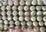CCB2335 15 inches 12mm faceted coin Alashan jasper beads