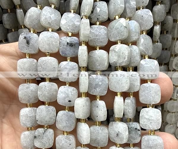 CCB2409 15 inches 10mm faceted square labradorite gemstone beads
