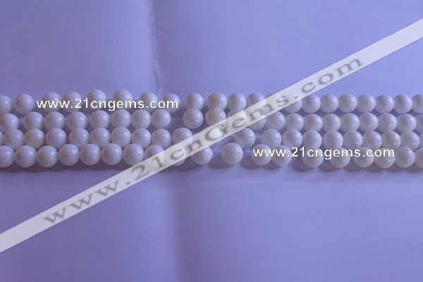 CCB401 15.5 inches 6mm round white tridacna beads wholesale