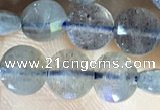 CCB607 15.5 inches 6mm faceted coin labradorite gemstone beads