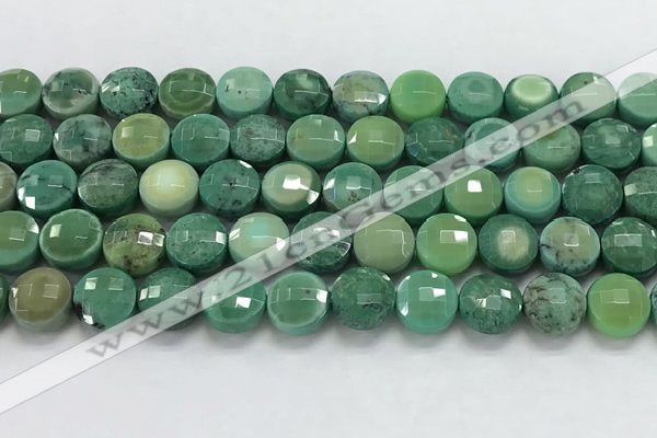 CCB689 15.5 inches 10mm faceted coin grass agate gemstone beads