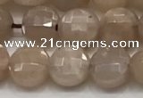 CCB705 15.5 inches 6mm faceted coin moonstone gemstone beads