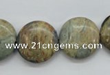 CCD04 15.5 inches 20mm flat round cordierite beads wholesale