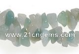 CCH20 32 inches amazonite chips gemstone beads wholesale