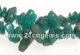 CCH21 34 inches amazonite chips gemstone beads wholesale