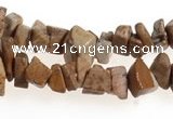 CCH27 35 inches picture jasper chips gemstone beads wholesale