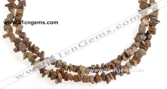 CCH27 35 inches picture jasper chips gemstone beads wholesale