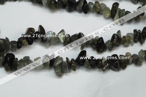 CCH277 34 inches 8*12mm labradorite chips gemstone beads wholesale