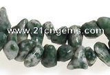 CCH29 35 inches dalmatian jasper chips gemstone beads wholesale