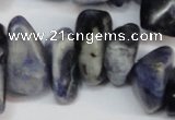 CCH300 34 inches 8*12mm sodalite chips gemstone beads wholesale