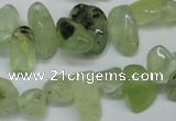 CCH318 15.5 inches 10*15mm prehnite chips gemstone beads wholesale