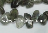 CCH320 15.5 inches 10*15mm labradorite chips gemstone beads wholesale