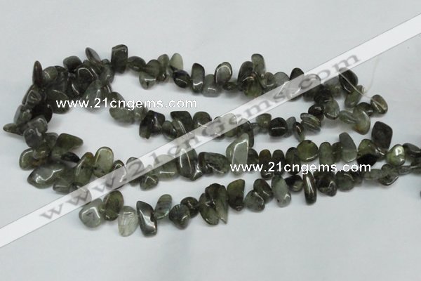 CCH320 15.5 inches 10*15mm labradorite chips gemstone beads wholesale