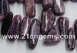 CCH502 15.5 inches 6*15mm - 8*28mm kunzite chips beads