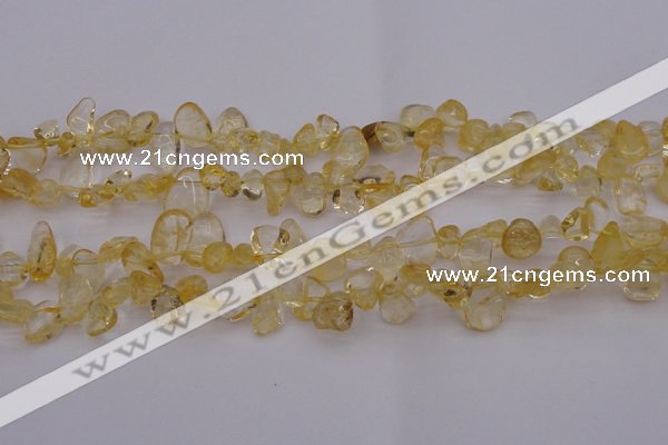 CCH612 15.5 inches 6*8mm - 10*14mm citrine chips gemstone beads