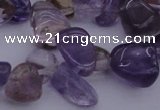 CCH614 15.5 inches 6*8mm - 10*14mm ametrine chips gemstone beads