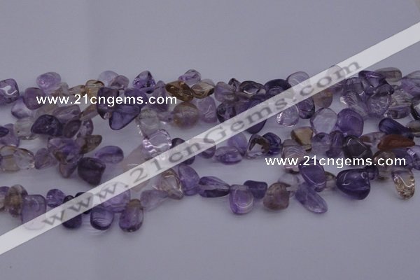 CCH614 15.5 inches 6*8mm - 10*14mm ametrine chips gemstone beads