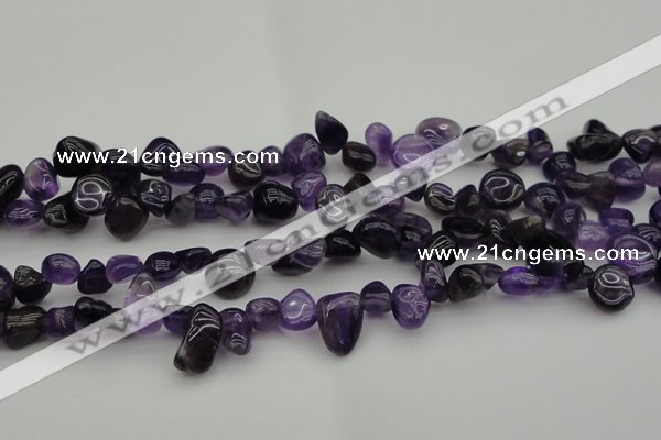 CCH615 15.5 inches 6*8mm - 10*14mm amethyst chips gemstone beads