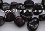 CCH617 15.5 inches 6*8mm - 10*14mm garnet chips gemstone beads