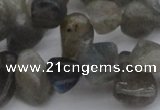 CCH618 15.5 inches 6*8mm - 10*14mm labradorite chips gemstone beads