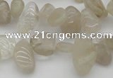 CCH622 15.5 inches 6*8mm - 10*14mm golden rutilated quartz chips beads