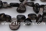 CCH623 15.5 inches 6*8mm - 10*14mm smoky quartz chips beads