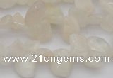 CCH624 15.5 inches 6*8mm - 10*14mm white moonstone chips beads