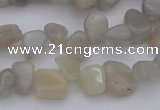 CCH625 15.5 inches 6*8mm - 10*14mm grey moonstone chips beads