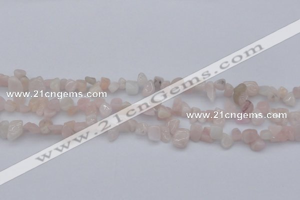 CCH626 15.5 inches 6*8mm - 10*14mm morganite gemstone chips beads