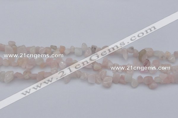 CCH626 15.5 inches 6*8mm - 10*14mm morganite gemstone chips beads