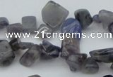 CCH627 15.5 inches 6*8mm - 10*14mm iolite gemstone chips beads