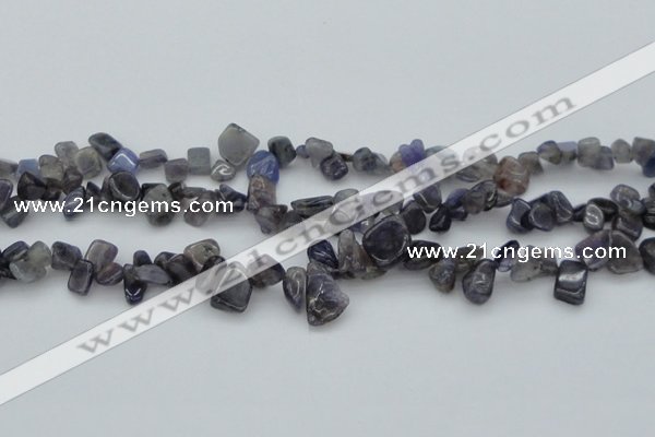 CCH627 15.5 inches 6*8mm - 10*14mm iolite gemstone chips beads