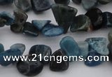 CCH628 15.5 inches 6*8mm - 10*14mm apatite gemstone chips beads