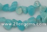 CCH631 15.5 inches 6*8mm - 10*14mm Peru amazonite chips beads