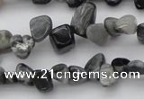 CCH633 15.5 inches 6*8mm - 10*14mm eagle eye jasper chips beads