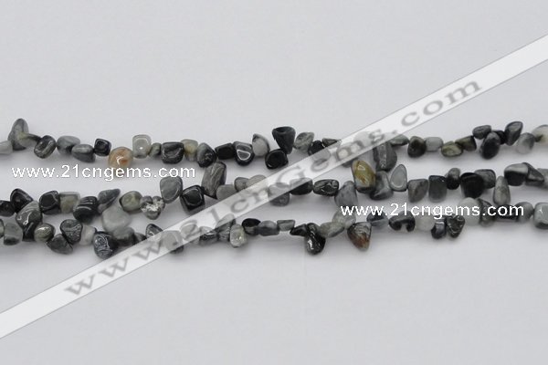 CCH633 15.5 inches 6*8mm - 10*14mm eagle eye jasper chips beads