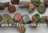 CCH636 15.5 inches 6*8mm - 10*14mm unakite gemstone chips beads