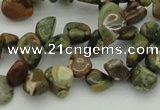 CCH637 15.5 inches 6*8mm - 10*14mm rhyolite gemstone chips beads