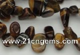 CCH638 15.5 inches 6*8mm - 10*14mm yellow tiger eye chips beads