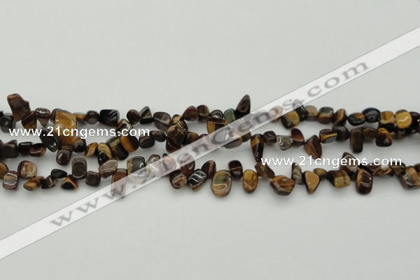 CCH638 15.5 inches 6*8mm - 10*14mm yellow tiger eye chips beads