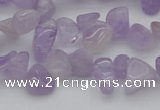 CCH641 15.5 inches 6*8mm - 10*14mm lavender amethyst chips beads