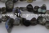 CCH642 15.5 inches 6*8mm - 10*14mm labradorite chips beads