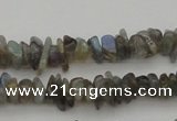 CCH645 15.5 inches 4*6mm - 5*8mm labradorite chips beads