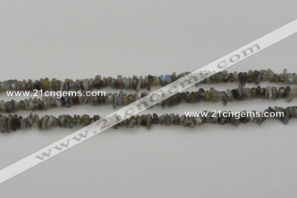 CCH645 15.5 inches 4*6mm - 5*8mm labradorite chips beads