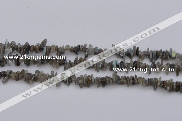 CCH646 15.5 inches 4*10mm - 6*14mm labradorite chips beads