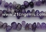 CCH649 15.5 inches 4*6mm - 5*8mm amethyst gemstone chips beads