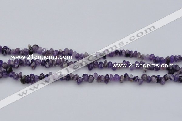 CCH649 15.5 inches 4*6mm - 5*8mm amethyst gemstone chips beads