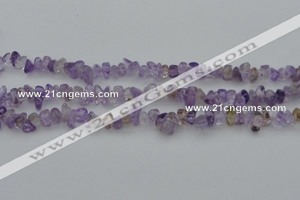 CCH652 15.5 inches 8*12mm - 10*14mm ametrine gemstone chips beads