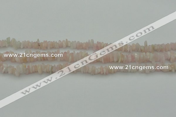 CCH656 15.5 inches 5*8mm - 6*10mm morganite gemstone chips beads