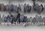 CCH658 15.5 inches 4*6mm - 5*8mm iolite gemstone chips beads